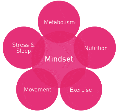 chart-Mindset-PGX-EN-20141005a-transparent Blood sugar balance with PGX